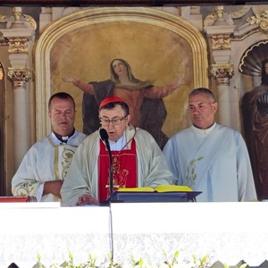 Kardinal Puljić predvodio proslavu Velike Gospe u Stenjevcu